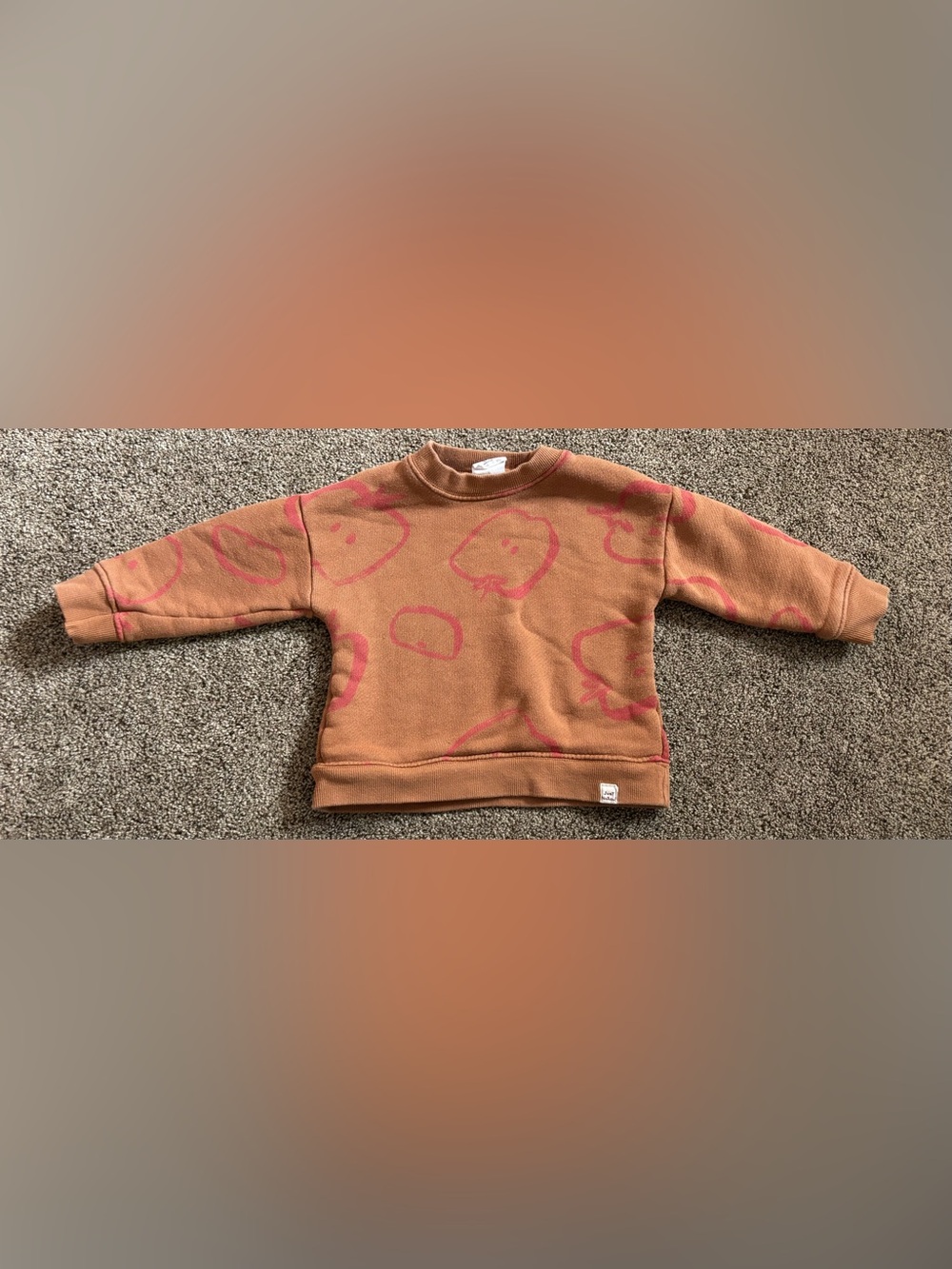 Zara Rust Brown Sweatshirt with Pink Accent